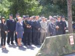 Kliknij, aby zobaczyæ. mp8200360_t1.jpg