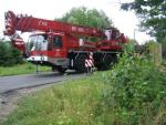 Kliknij, aby zobaczyæ. p7140108_t1.jpg