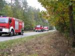 Kliknij, aby zobaczyæ. pa070220_t1.jpg
