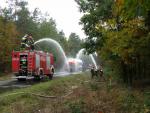 Kliknij, aby zobaczyæ. pa070227_t1.jpg