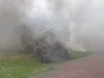 Kliknij, aby zobaczyæ. p6040333.jpg11_t1.jpg